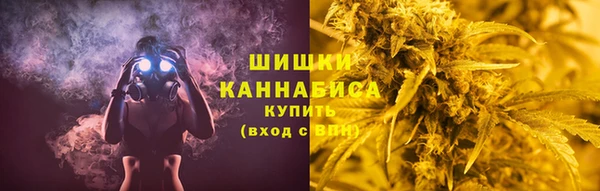сатива Баксан