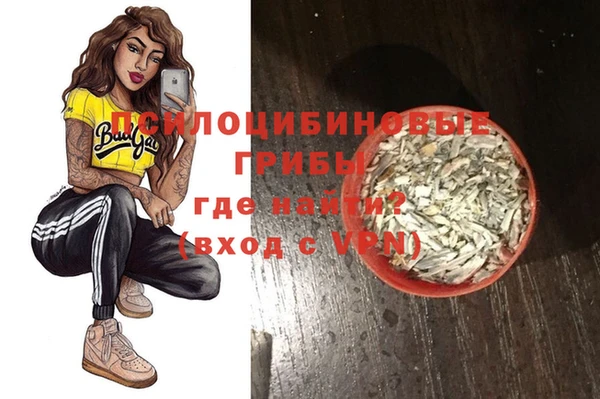 сатива Баксан