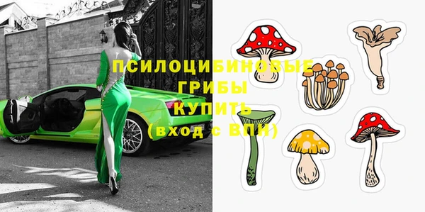 дмт Армянск