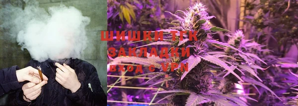 сатива Баксан